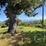  Land for sale in Los Rios, Los Lagos, Valdivia, Los Rios