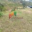  Grundstück zu verkaufen in Rionegro, Antioquia, Rionegro, Antioquia, Kolumbien