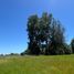  Land for sale in Chile, Villarrica, Cautin, Araucania, Chile