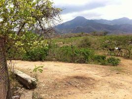  Grundstück zu verkaufen in Puerto Vallarta, Jalisco, Puerto Vallarta