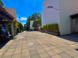 4 Habitación Apartamento en venta en Cuernavaca, Morelos, Cuernavaca, Morelos