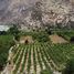  Terreno (Parcela) en venta en Zuñiga, Cañete, Zuñiga