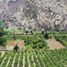  Terreno (Parcela) en venta en Zuñiga, Cañete, Zuñiga