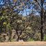  Land for sale in Zapopan, Jalisco, Zapopan, Jalisco