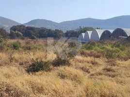  Grundstück zu verkaufen in Cuernavaca, Morelos, Cuernavaca, Morelos