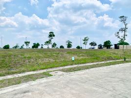  Land for sale at Lumira NUVALI, Calamba City