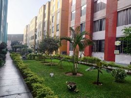 3 Schlafzimmer Appartement zu verkaufen in Ate, Lima, Ate, Lima, Lima