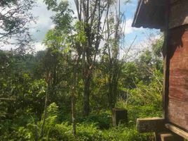  Grundstück zu verkaufen in Gianyar, Bali, Tegallalang