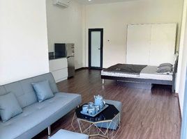 1 Bedroom Apartment for rent in Hai Chau, Da Nang, Phuoc Ninh, Hai Chau