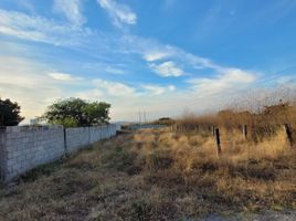  Land for sale in Cuautla, Morelos, Cuautla