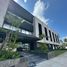 36 m² Office for rent in Merida, Yucatan, Merida