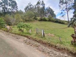  Terreno (Parcela) en venta en Azuay, Baños, Cuenca, Azuay