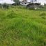  Land for sale in Azuay, Banos, Cuenca, Azuay