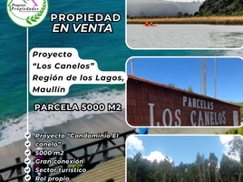  Terreno (Parcela) en venta en Chile, Maullin, Llanquihue, Los Lagos, Chile