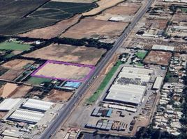  Land for sale in Chile, Requinao, Cachapoal, Libertador General Bernardo Ohiggins, Chile