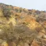  Terreno (Parcela) en venta en Melipilla, Santiago, Curacavi, Melipilla