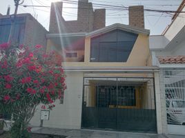 6 chambre Condominium for sale in Lima, San Martin De Porres, Lima, Lima