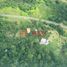  Land for sale in Nauta, Loreto, Nauta, Loreto, Loreto