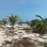  Grundstück zu verkaufen in Carmen, Campeche, Carmen
