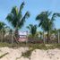  Grundstück zu verkaufen in Carmen, Campeche, Carmen