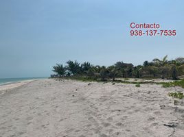  Grundstück zu verkaufen in Carmen, Campeche, Carmen