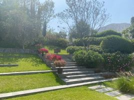  Land for sale in Cieneguilla, Lima, Cieneguilla