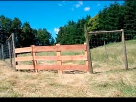  Terrain for sale in Curarrehue, Cautin, Curarrehue