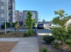  Apartamento en venta en Biobío, Concepcion, Concepción, Biobío