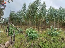  Terreno (Parcela) en venta en Otavalo, Imbabura, Otavalo, Otavalo