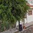 3 Bedroom House for sale in Zapotitlan, Puebla, Zapotitlan