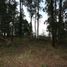  Land for sale in Tumbaco, Quito, Tumbaco