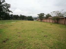  Land for sale in Tumbaco, Quito, Tumbaco