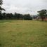  Land for sale in Tumbaco, Quito, Tumbaco