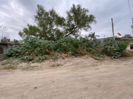  Terrain for sale in Compostela, Nayarit, Compostela