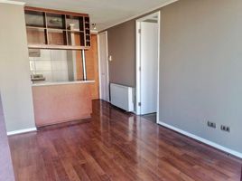 1 Habitación Apartamento en alquiler en Cordillera, Santiago, Puente Alto, Cordillera