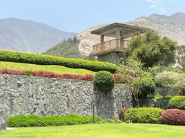  Grundstück zu verkaufen in Cieneguilla, Lima, Cieneguilla, Lima, Lima, Peru