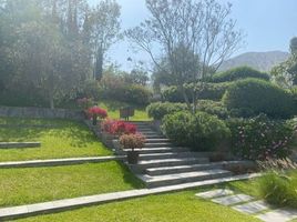  Grundstück zu verkaufen in Cieneguilla, Lima, Cieneguilla, Lima, Lima, Peru