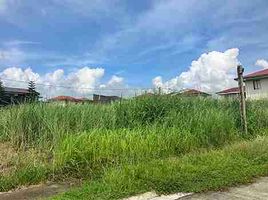  Grundstück zu verkaufen in Calamba City, Calabarzon, Calamba City