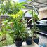 4 Bedroom House for sale in Depok, Yogyakarta, Depok, Sleman, Yogyakarta
