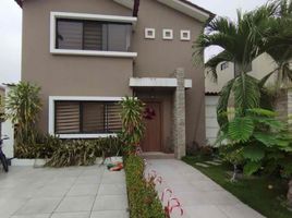 3 Bedroom House for rent in Samborondon, Guayas, Samborondon, Samborondon