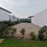  Terreno (Parcela) en venta en Asia, Lima, Asia