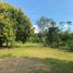  House for sale in Loreto Orellana, Loreto, Loreto, Orellana