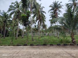  Terrain for sale in Aborlan, Palawan, Aborlan