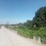  Land for sale in Gerona, Central Luzon, Gerona