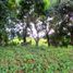  Land for sale in Rizal, Calabarzon, Antipolo City, Rizal