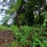  Land for sale in Rizal, Calabarzon, Antipolo City, Rizal