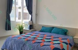 1-bedroom apartment for rent, 50 m², Hải Châu