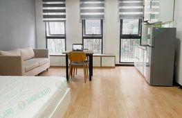 1-bedroom apartment for rent, 40 m², Hải Châu
