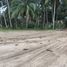  Terrain for sale in Aborlan, Palawan, Aborlan