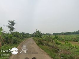  Grundstück zu verkaufen in Lebak, Banten, Maja, Lebak